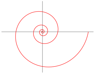spirale logaritmica (immagine)